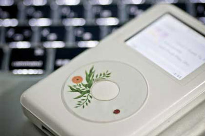 flymola creative studio